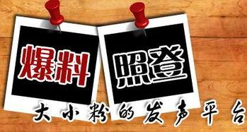 长春新闻爆料平台,聚焦城市热点，解码民生故事